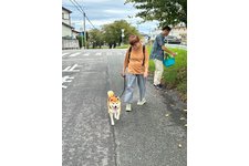 写真52149_1