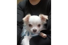 ルルの写真1枚目