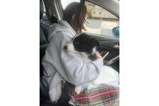 ソフィの写真1枚目