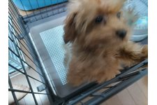 心愛の写真1枚目