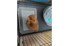 心愛の写真2枚目