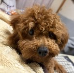 ソラの写真1枚目