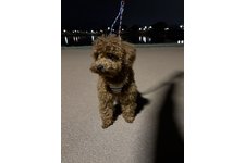 ソラの写真2枚目