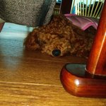 うたの写真1枚目