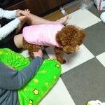 うたの写真2枚目