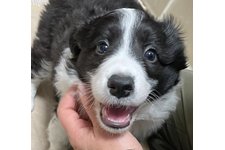 はるの写真1枚目