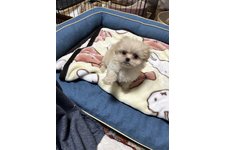 紗（すず）の写真1枚目