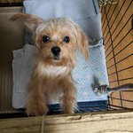 れいちゃんの写真1