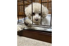 リョウタの写真2