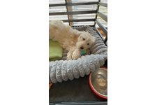 ジェイクの写真1