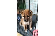 海(カイ)の写真2