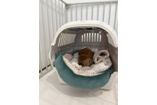 ちゃぶしの写真1