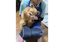 にいにいの写真1