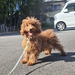 サラの写真2枚目