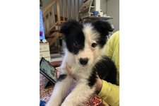 柊花(トオカ)の写真1