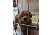 ここの写真1枚目