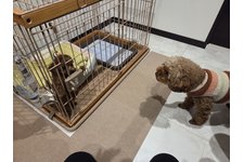 ここの写真2枚目