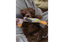 ここの写真3枚目