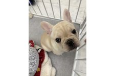 匿名希望の写真1