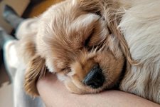 RIZZの写真3枚目