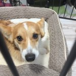 五右衛門の写真1