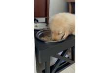 凪（なぎ）の写真1