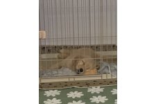 凪（なぎ）の写真2