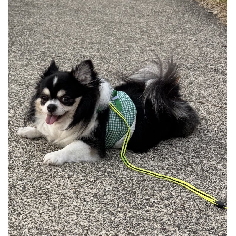 くろたんさんのレビュー画像