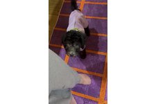 どらやきの写真1