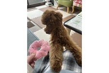 ももの写真2枚目