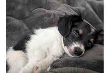 まおまおの写真1