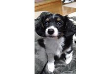 まおまおの写真2