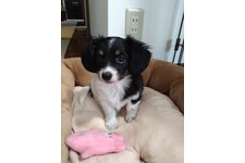 まおまおの写真4