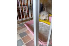 ウィンリィの写真1