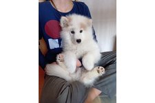 ウィンリィの写真2