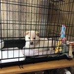 ユキオウの写真1