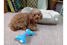 爽凪(そな)の写真1