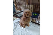 爽凪(そな)の写真2