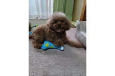 爽凪(そな)の写真3