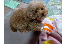 爽凪(そな)の写真4