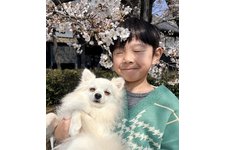 さくら（おこめちゃん）の写真2