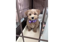 政宗（まーくん）の写真1