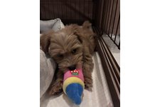 政宗（まーくん）の写真2