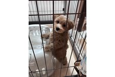 政宗（まーくん）の写真3