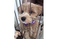 政宗（まーくん）の写真4