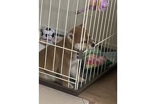 ムーちゃんの写真1