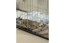 ムーちゃんの写真2