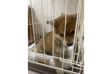 ムーちゃんの写真3