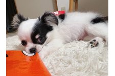 ジャムの写真1枚目