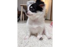 ジャムの写真2枚目